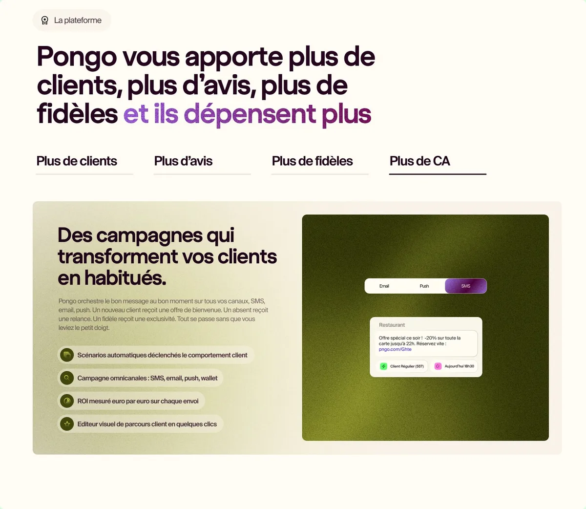 Bloc campagnes en olive et jaune